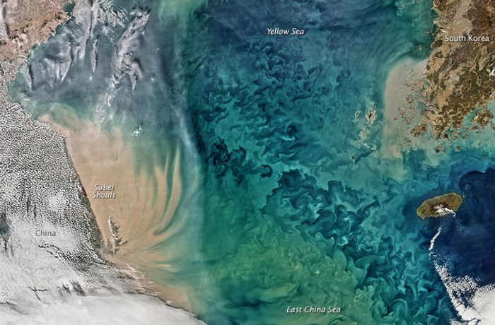 China's turbid Yellow Sea as seen by NASA's Aqua satellite