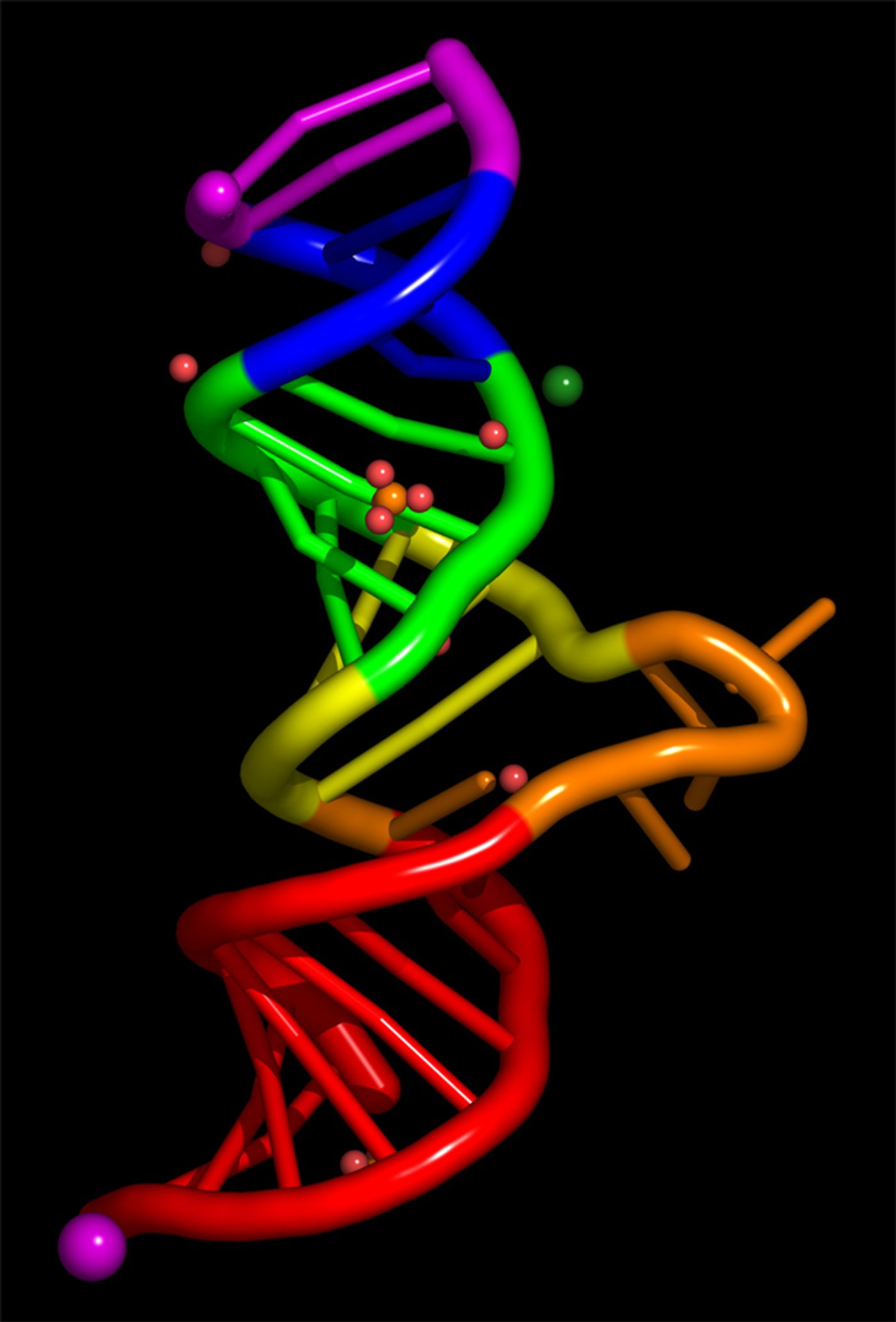 RNA molecule