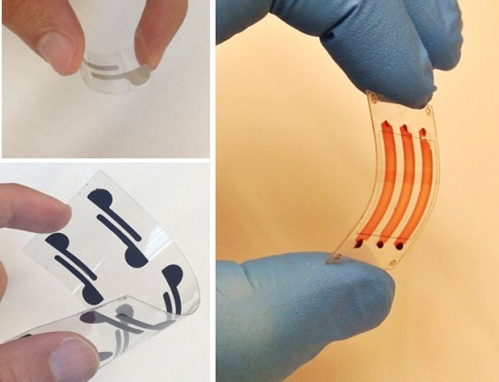 Thin, lightweight, flexible materials developed by researchers at Florida Atlantic University, Stanford, and Harvard, integrate cellulose paper and flexible polyester films as new diagnostic tools to detect bioagents in whole blood, serum, and peritoneal fluid. Thin, lightweight, flexible materials developed by researchers at Florida Atlantic University, Stanford, and Harvard, integrate cellulose paper and flexible polyester films as new diagnostic tools to detect bioagents in whole blood, serum, and peritoneal fluid.