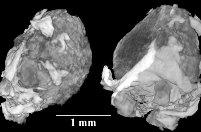 X Ray tomography of the crystal found inside a 15,000 year old meteorite X Ray tomography of the crystal found inside a 15,000 year old meteorite