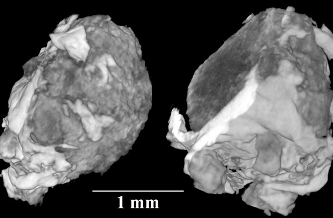 X Ray tomography of the crystal found inside a 15,000 year old meteorite