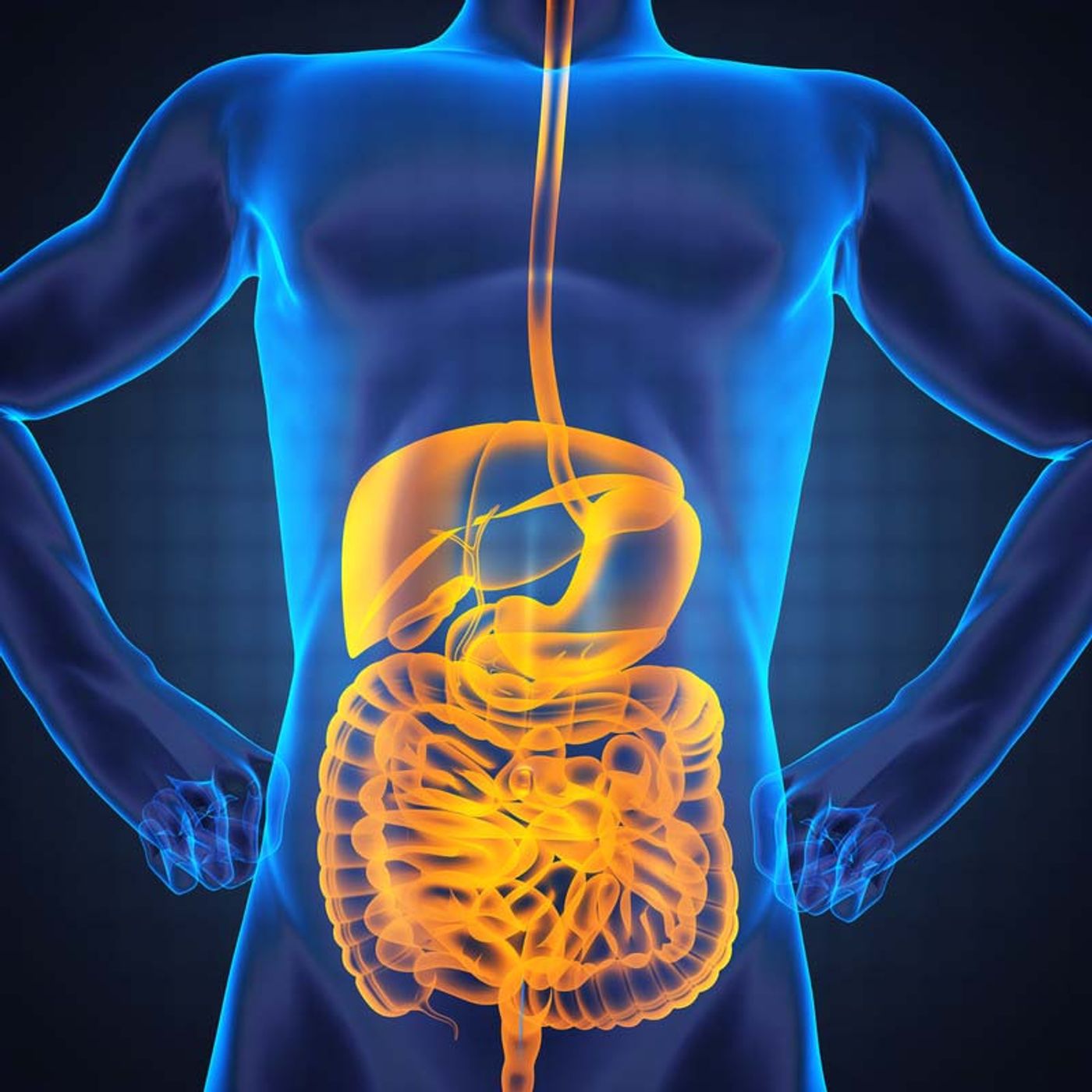 Our gut microbiome, when regulated correctly, helps us with digestion and other processes.