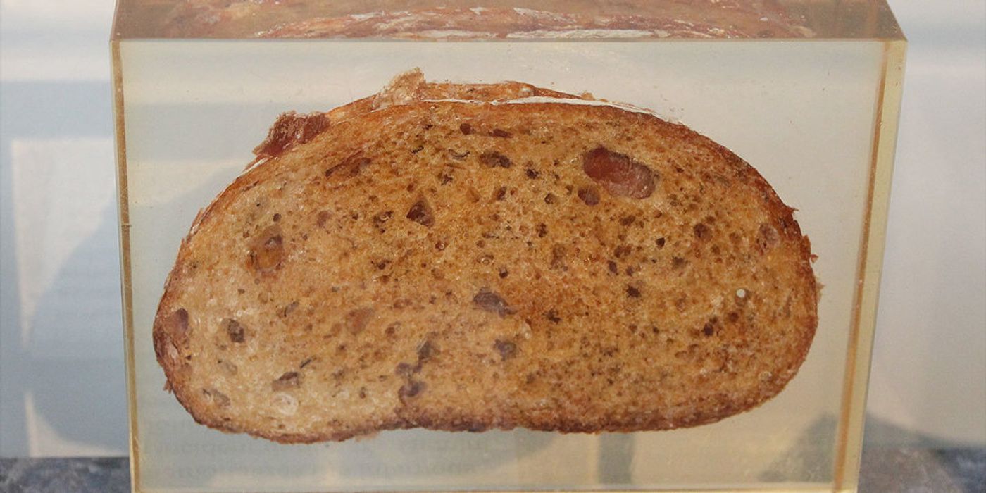 A replica sandwich at the Grissom Memorial Museum in Mitchell, IN