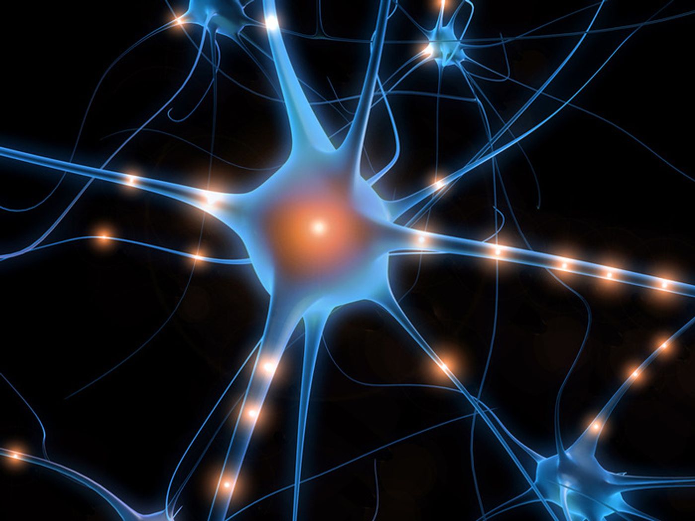 Artist's rendering of a neuron