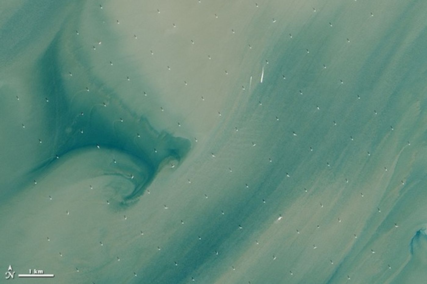 The world's largest offshore wind farm captured by the Landsat 8 satellite.  The white dots are the turbines.