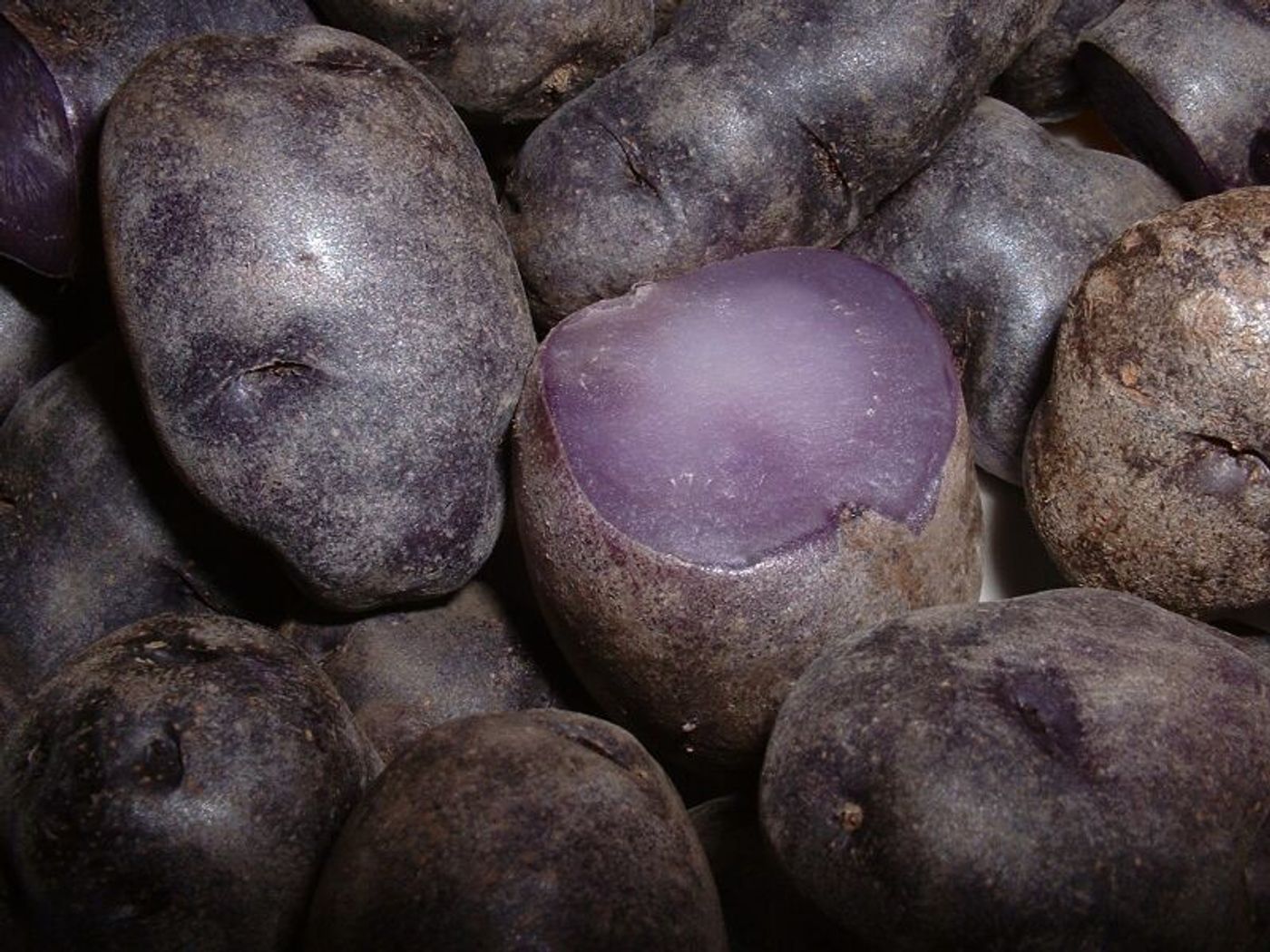 Purple potatoes may have preventive powers.