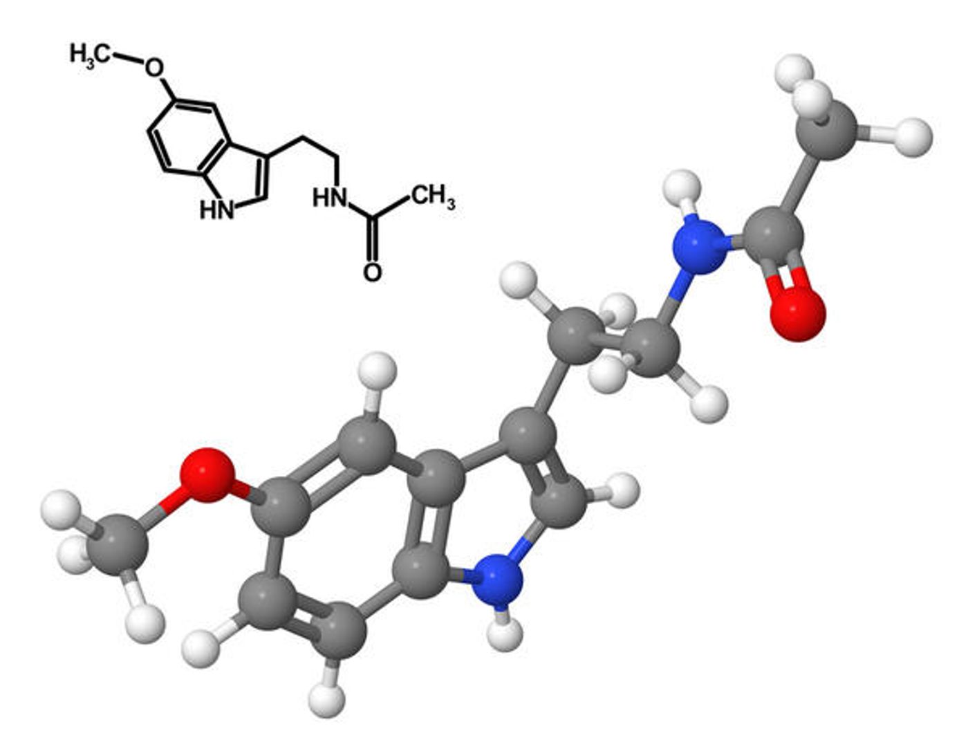 Melatonin may influence multiple sclerosis activity.