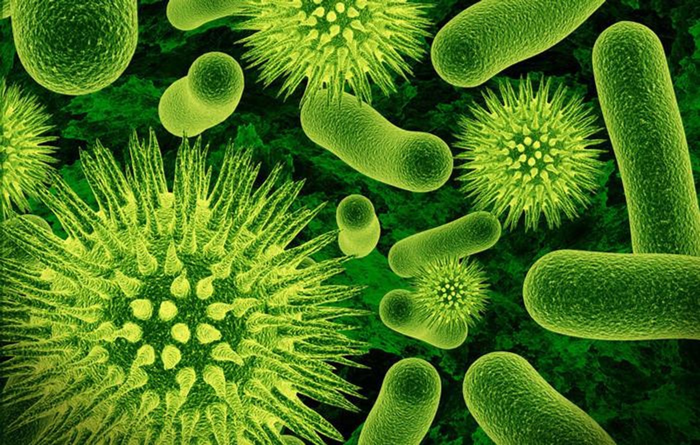 Intestinal microbes appear to predict healthy aging.