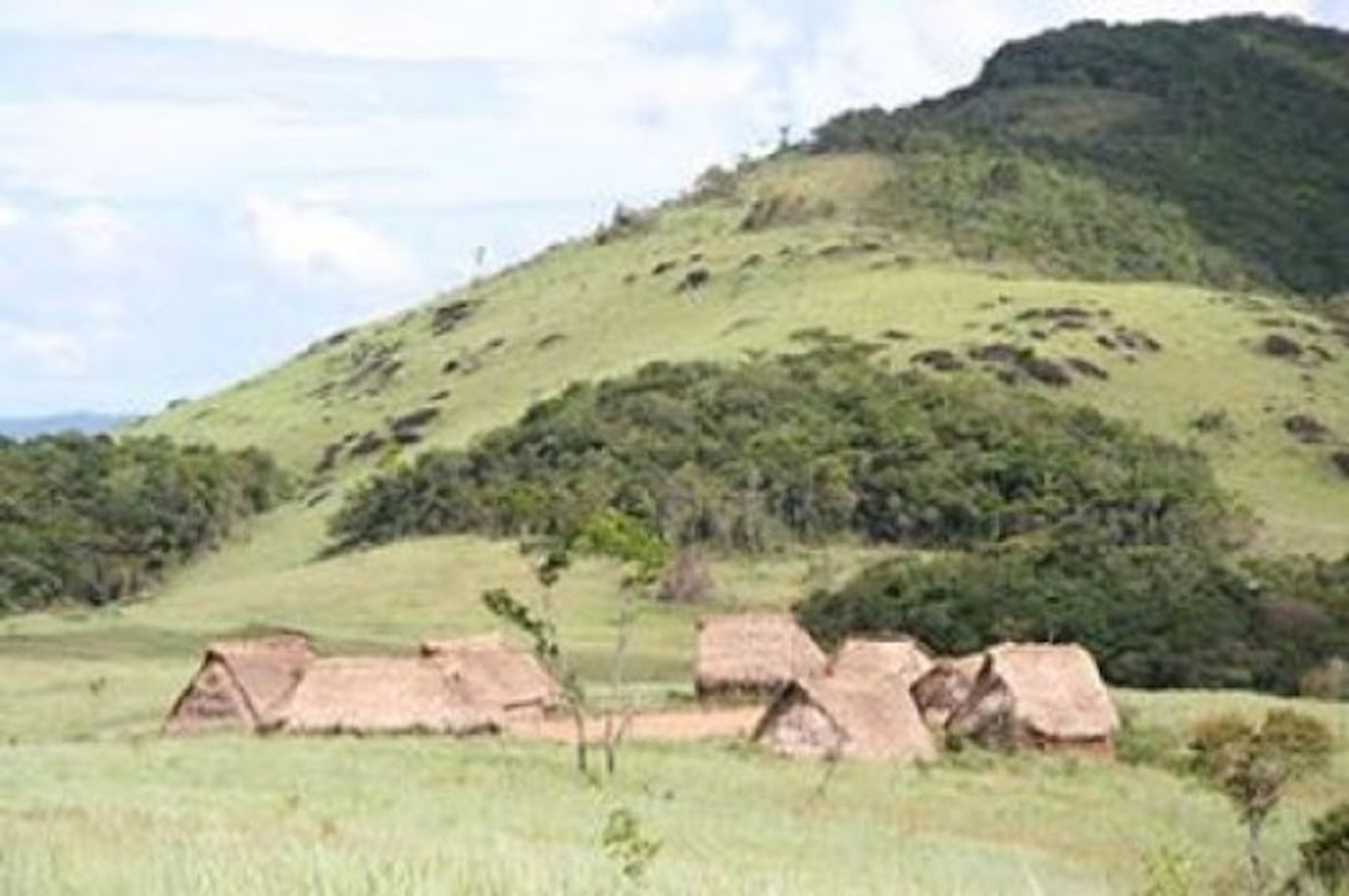 Huts in an isolated village inhabited by Yanomami Amerindians in southern Venezuela. Members of the tribe were isolated from the modern world and had never been exposed to antibiotic drugs, but the bacteria on their skin and in their mouths and intestines still had antibiotic resistance genes.