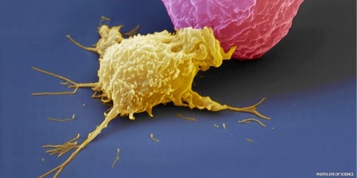 Study is based on mutations, not origins, of cancer. Study is based on mutations, not origins, of cancer.
