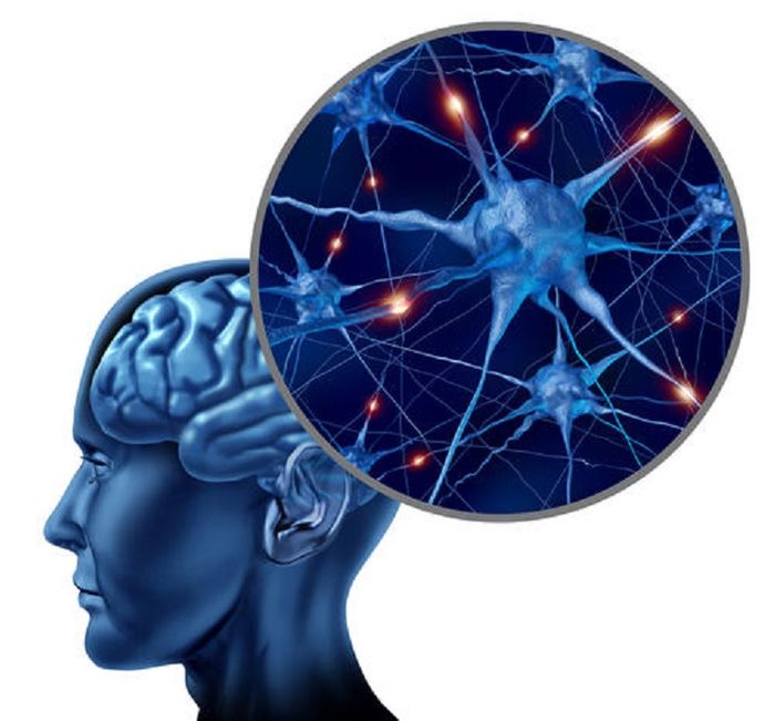 MS is thought to be an epigenetic disease, meaning it is triggered by a combination of genetic and environmental factors. MS is thought to be an epigenetic disease, meaning it is triggered by a combination of genetic and environmental factors.