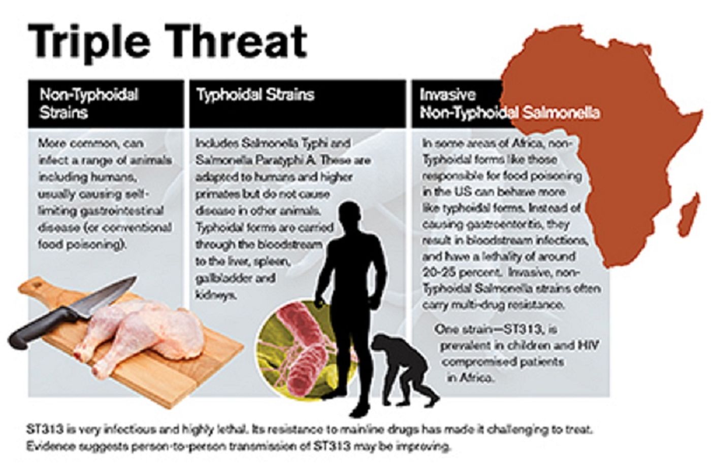 Showing the difference between Typhoidal, nonTyphoidal and invasive nonTyphoidal Salmonella