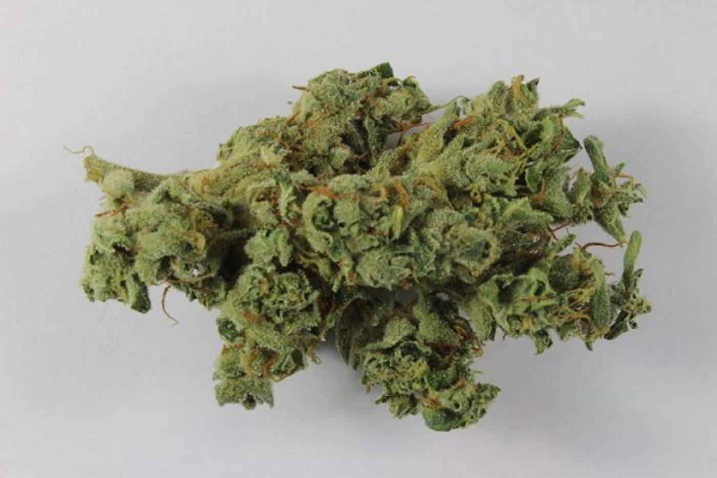 Marijuana buds are often two to three times as potent as they were 30 years ago.