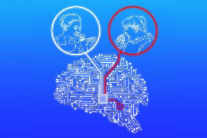Cell interaction holds keys to brain function and cognition. Cell interaction holds keys to brain function and cognition.