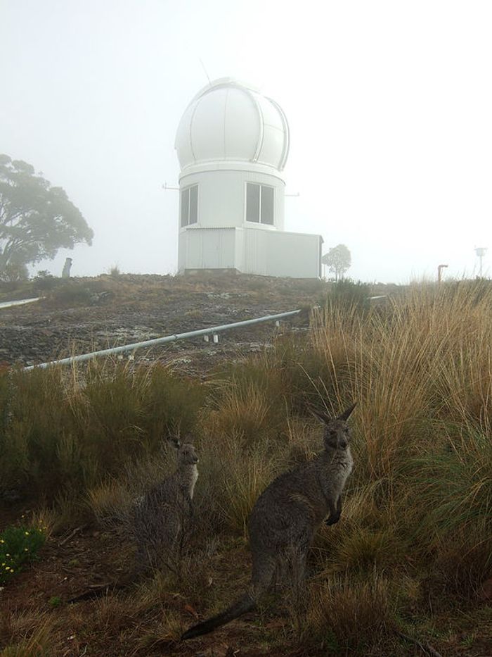 Siding Spring Observatory Australia is home to the SkyMapper Telescope and kangaroos too.