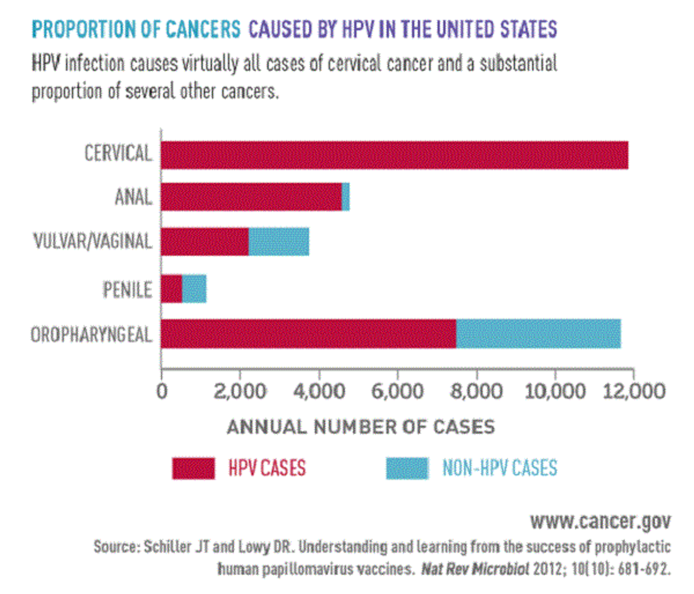 This image is from the National Cancer Institute's Building on Opportunities in Cancer Research: An Annual Plan and Budget Proposal for Fiscal Year 2016.