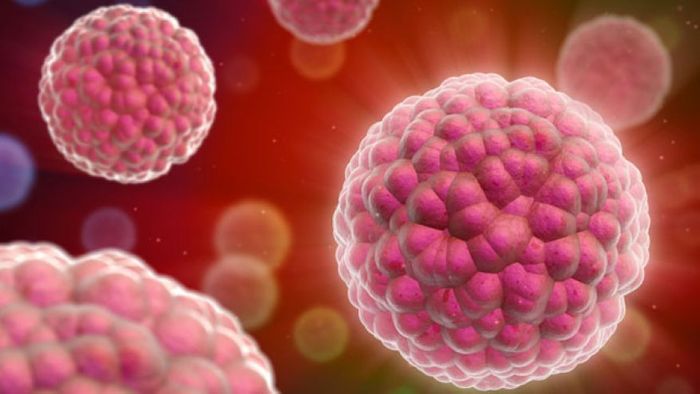 UK researchers attempt to keep cancer from coming back. UK researchers attempt to keep cancer from coming back.
