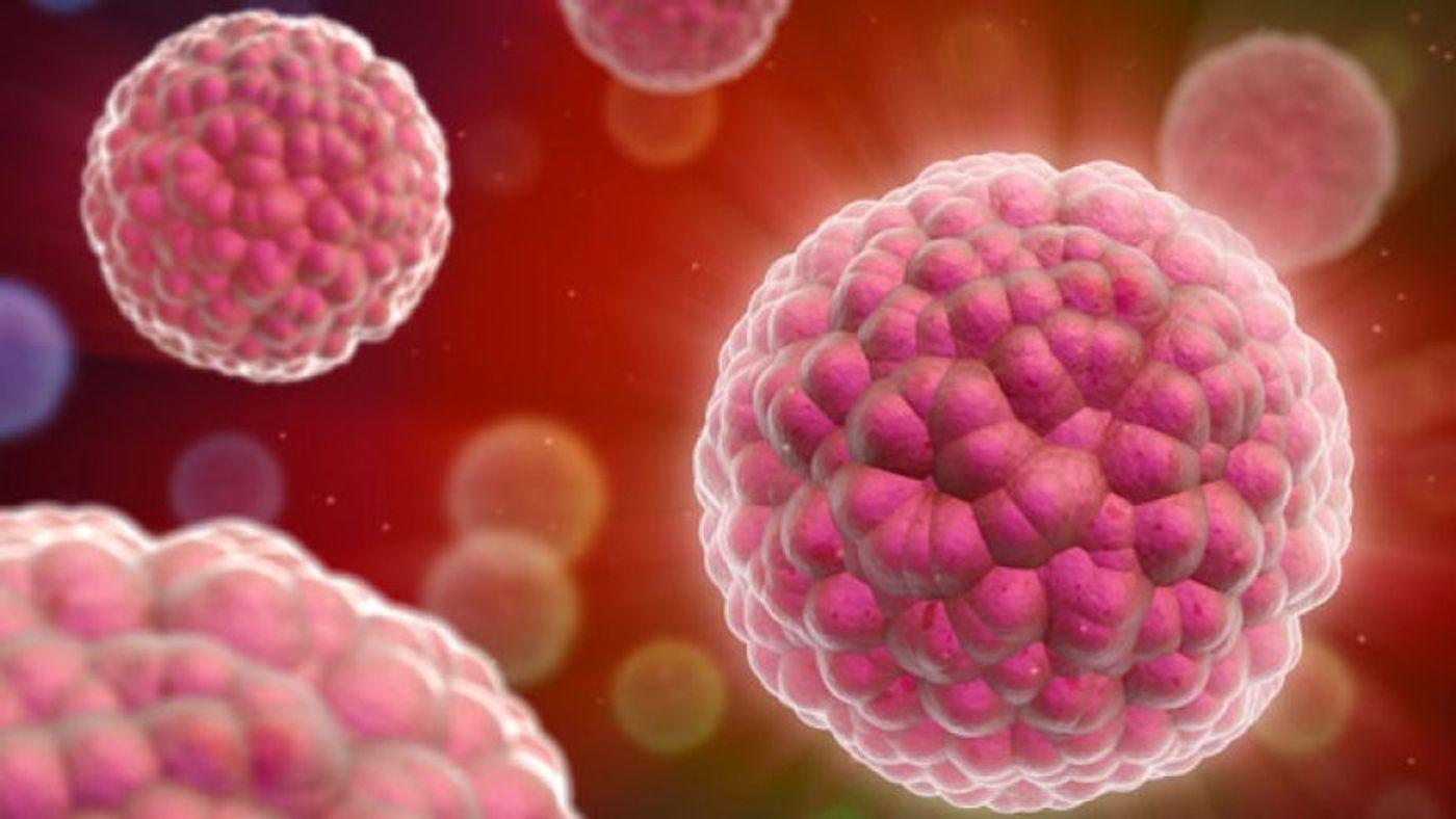 UK researchers attempt to keep cancer from coming back. UK researchers attempt to keep cancer from coming back.