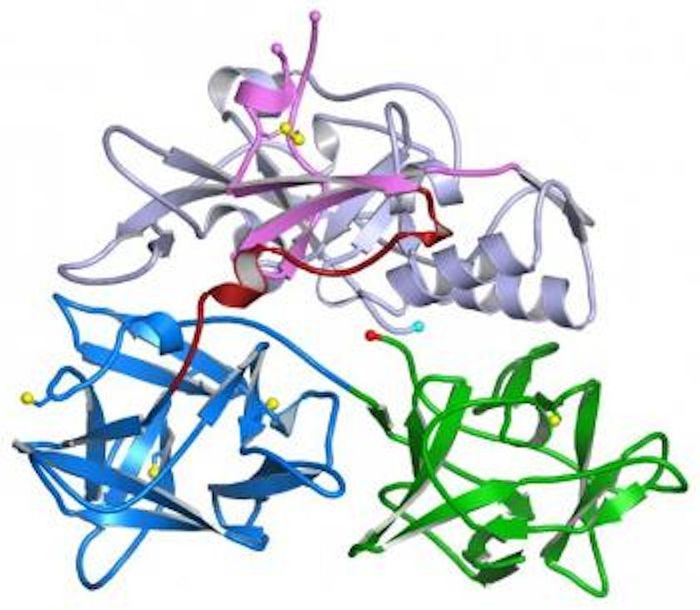 Mycoplasmas are the smallest of all bacteria and have proven very difficult to study. Mycoplasmas are the smallest of all bacteria and have proven very difficult to study.