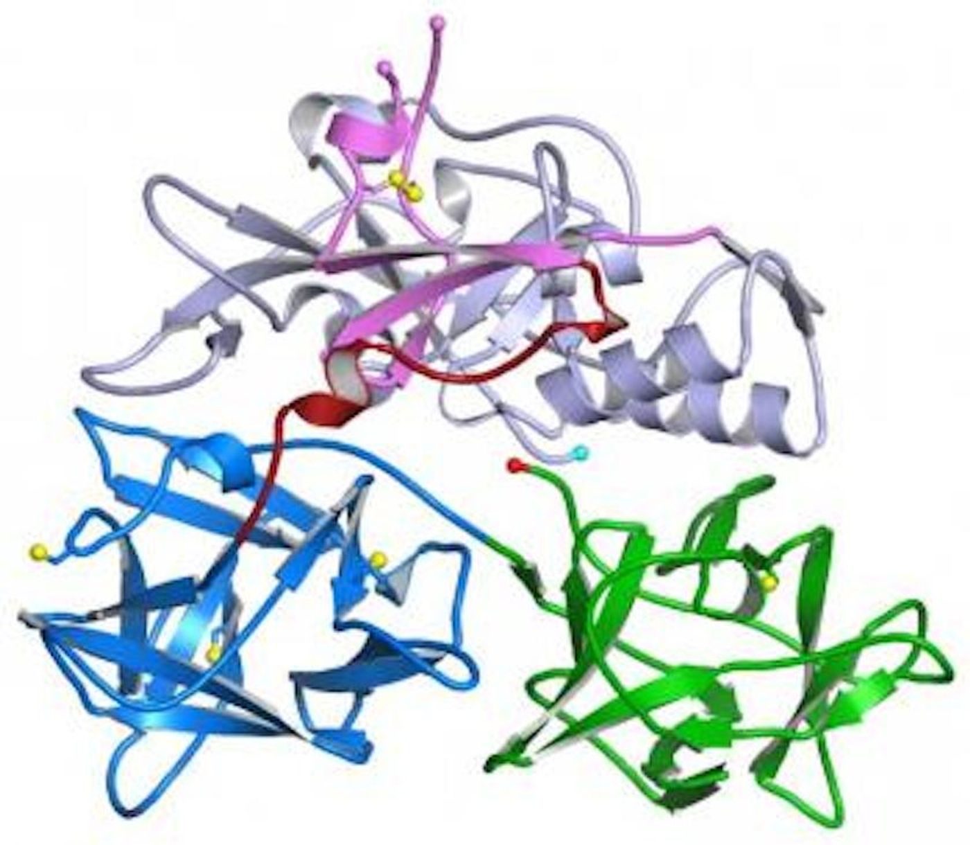 Mycoplasmas are the smallest of all bacteria and have proven very difficult to study.