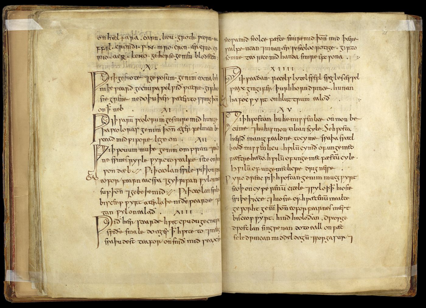 Bald's Leechbook (London, British Library, MS Royal 12 D XVII, ff. 20v-21r)