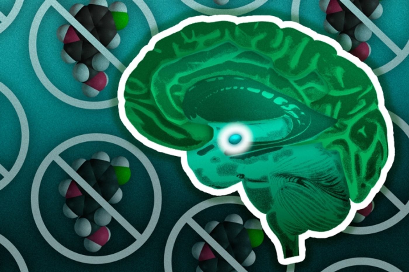 This illustration shows a brain with the amygdala highlighted in the center. In the background are models of the serotonin molecule.