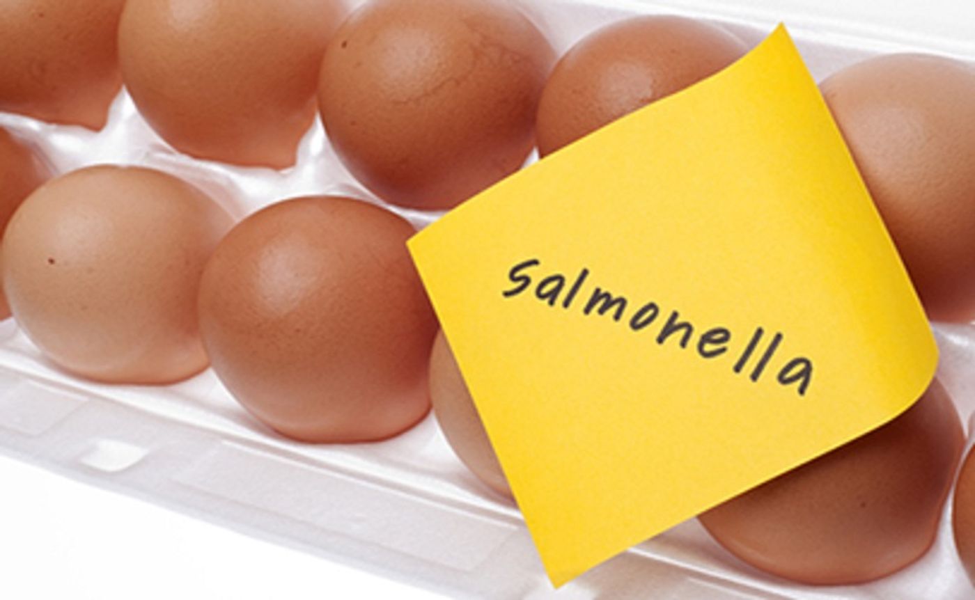 Illnesses involving to Salmonella are often associated with poultry and poultry products.