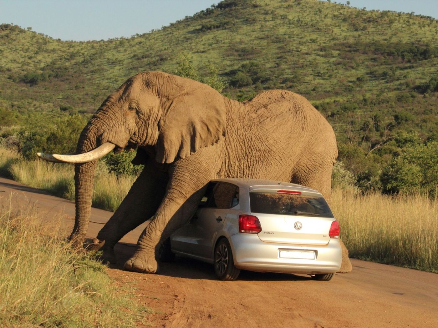 Another novel use for a VW