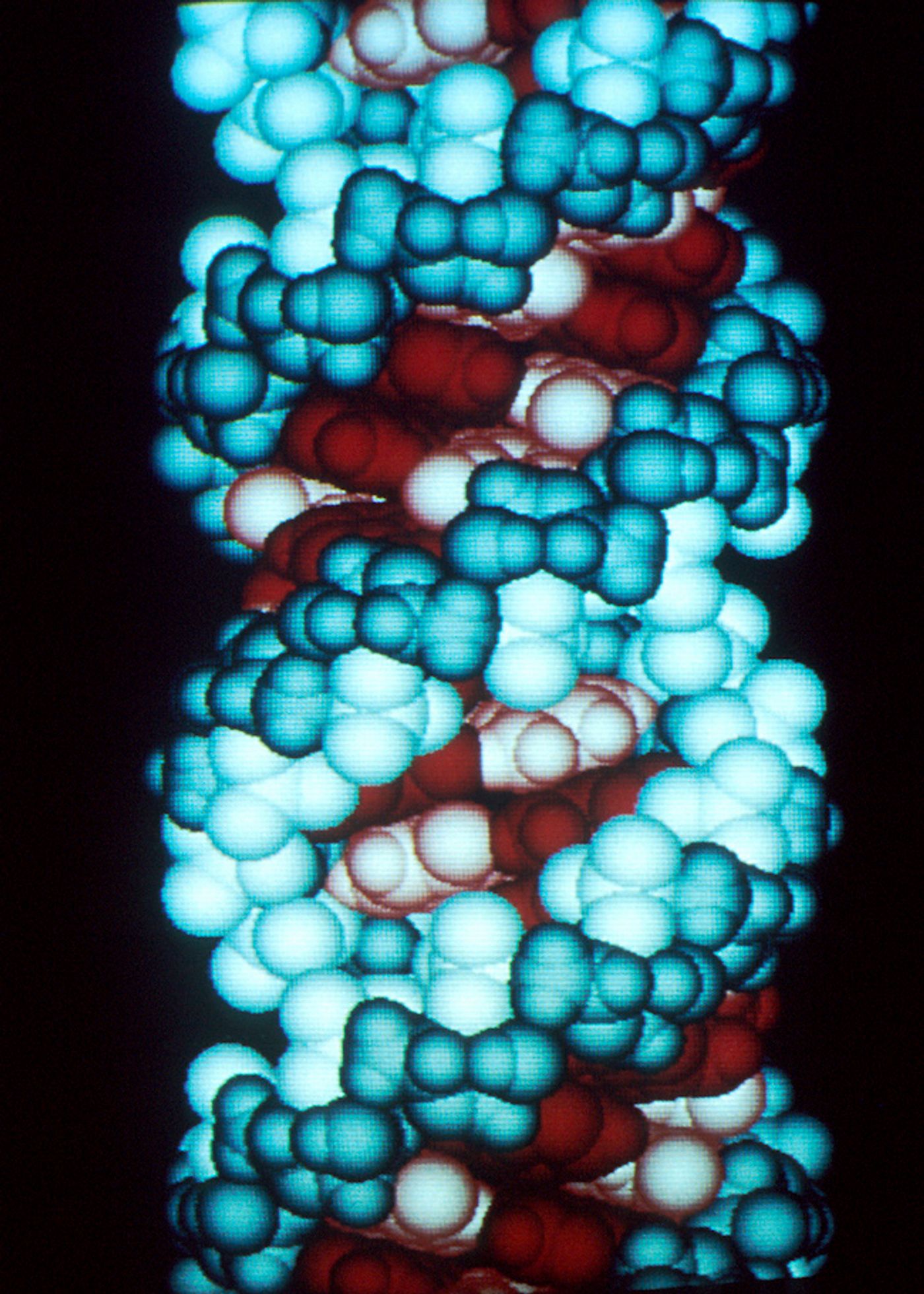 Computer graphic of an RNA molecule