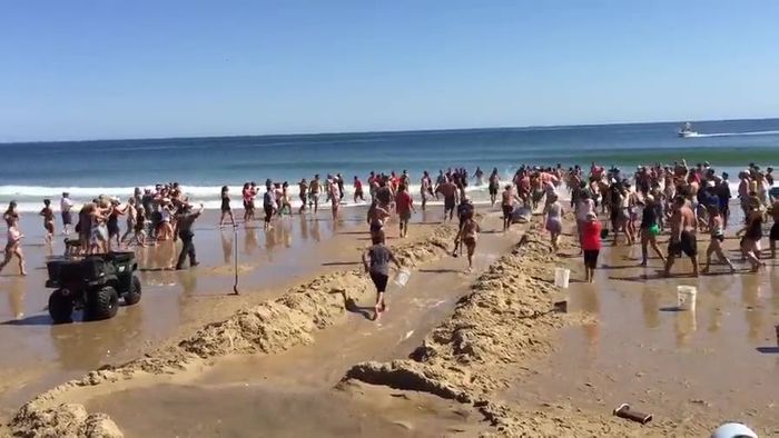 Beachgoers tried desperately to save a shark on Cape Cod