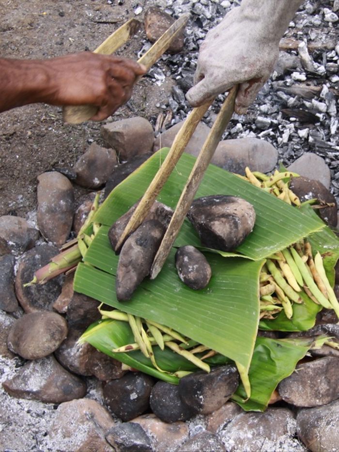 People living in Papua New Guinea have a greater diversity of gut bacteria than those living in the US People living in Papua New Guinea have a greater diversity of gut bacteria than those living in the US