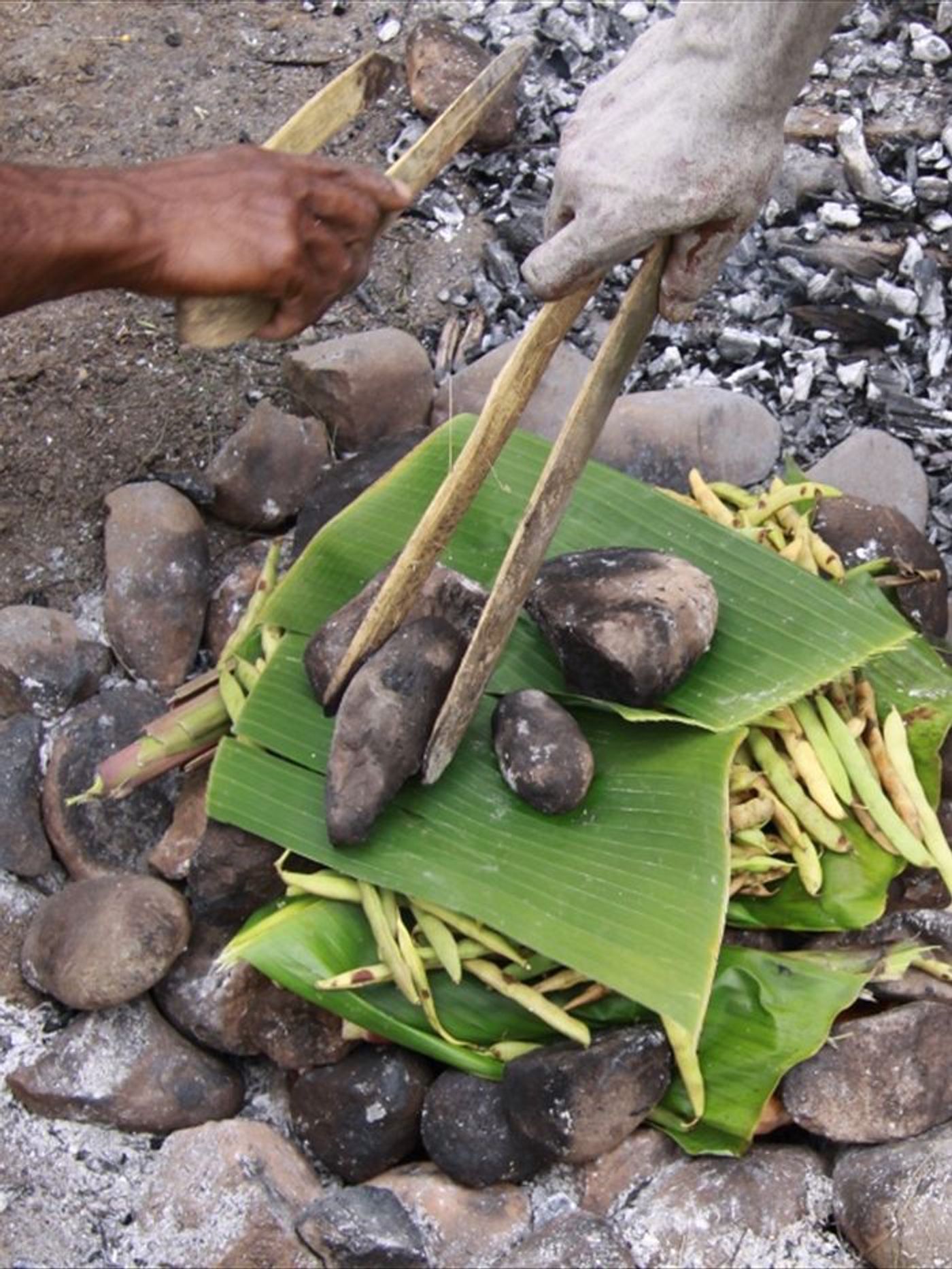 People living in Papua New Guinea have a greater diversity of gut bacteria than those living in the US