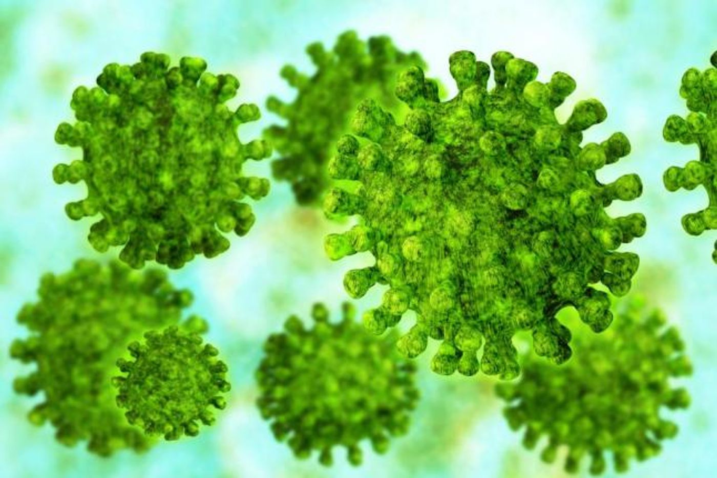 Synthetic DNA vaccine protects against MERS.