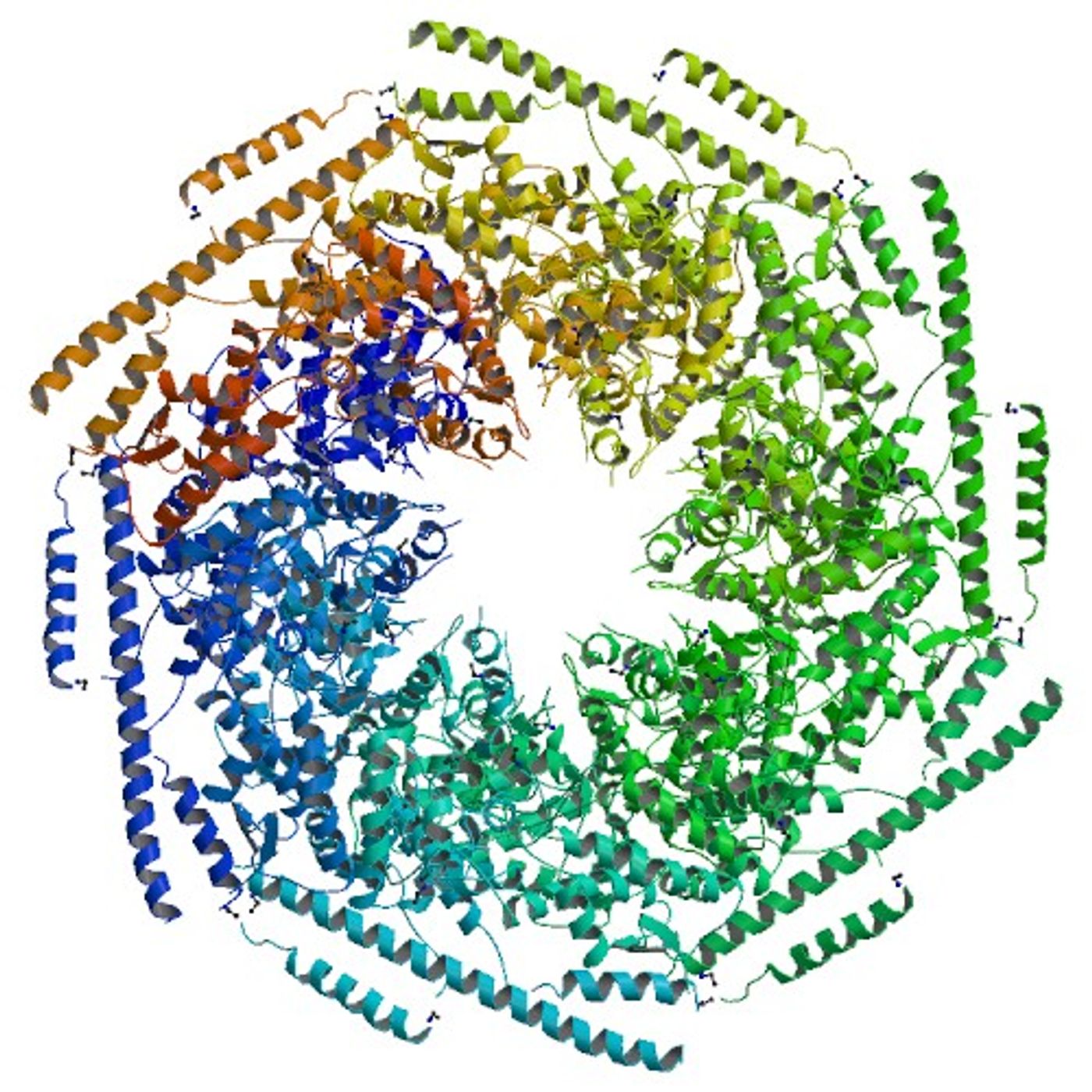 ClpB forms a hexagon enclosing a central channel.