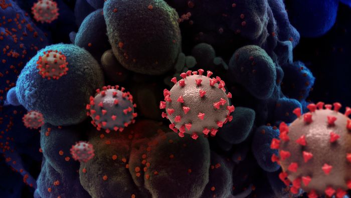 Modified from a creative rendition of SARS-CoV-2 virus particles. Note: not to scale. / Credit: NIAID