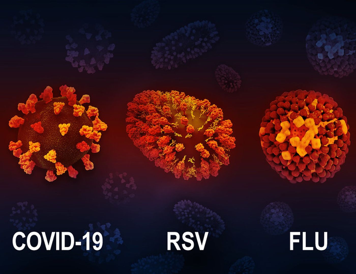 3D renditions of three respiratory viruses: COVID-19, RSV, and flu. Credit: NIAID