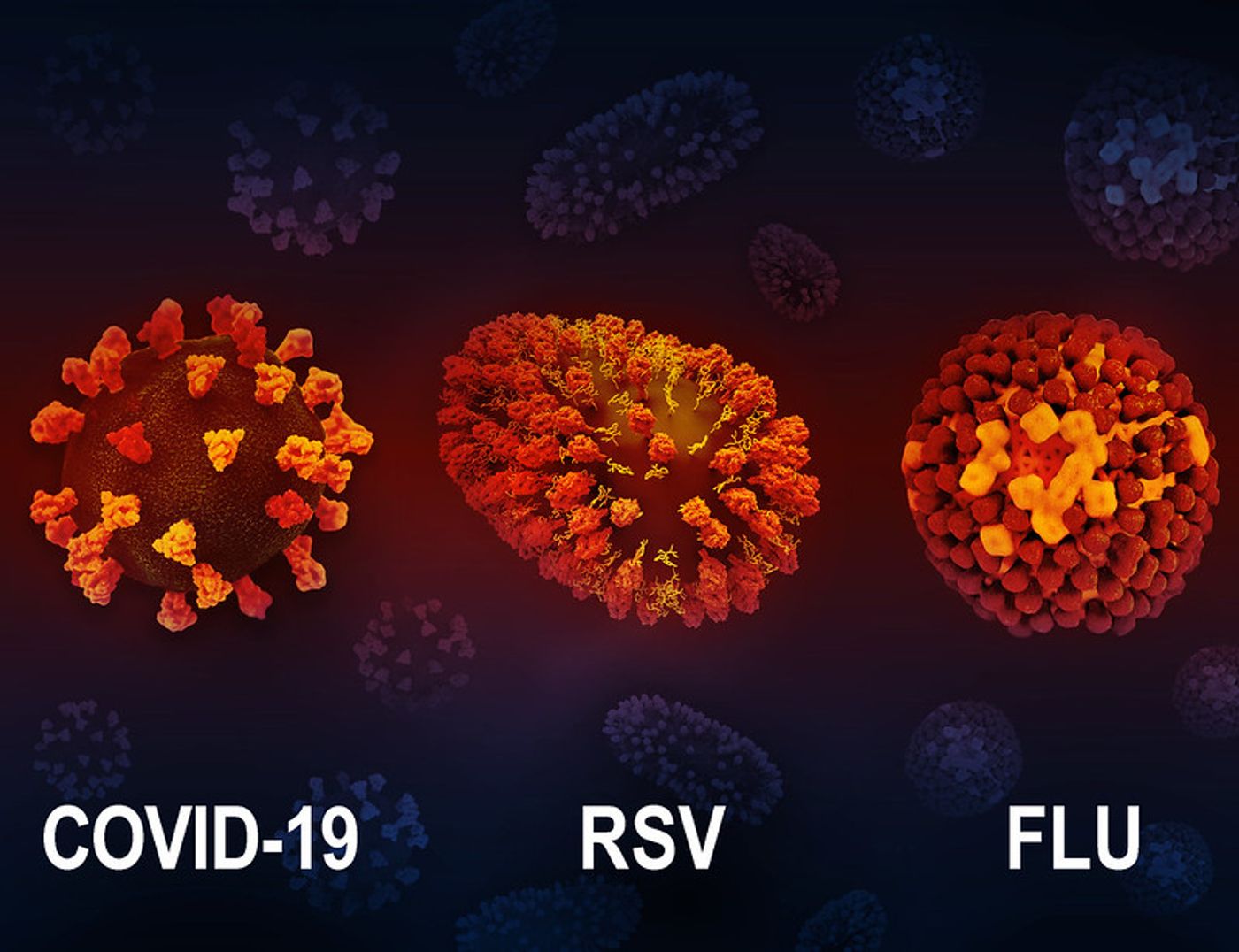 3D renditions of three respiratory viruses: COVID-19, RSV, and flu. Credit: NIAID