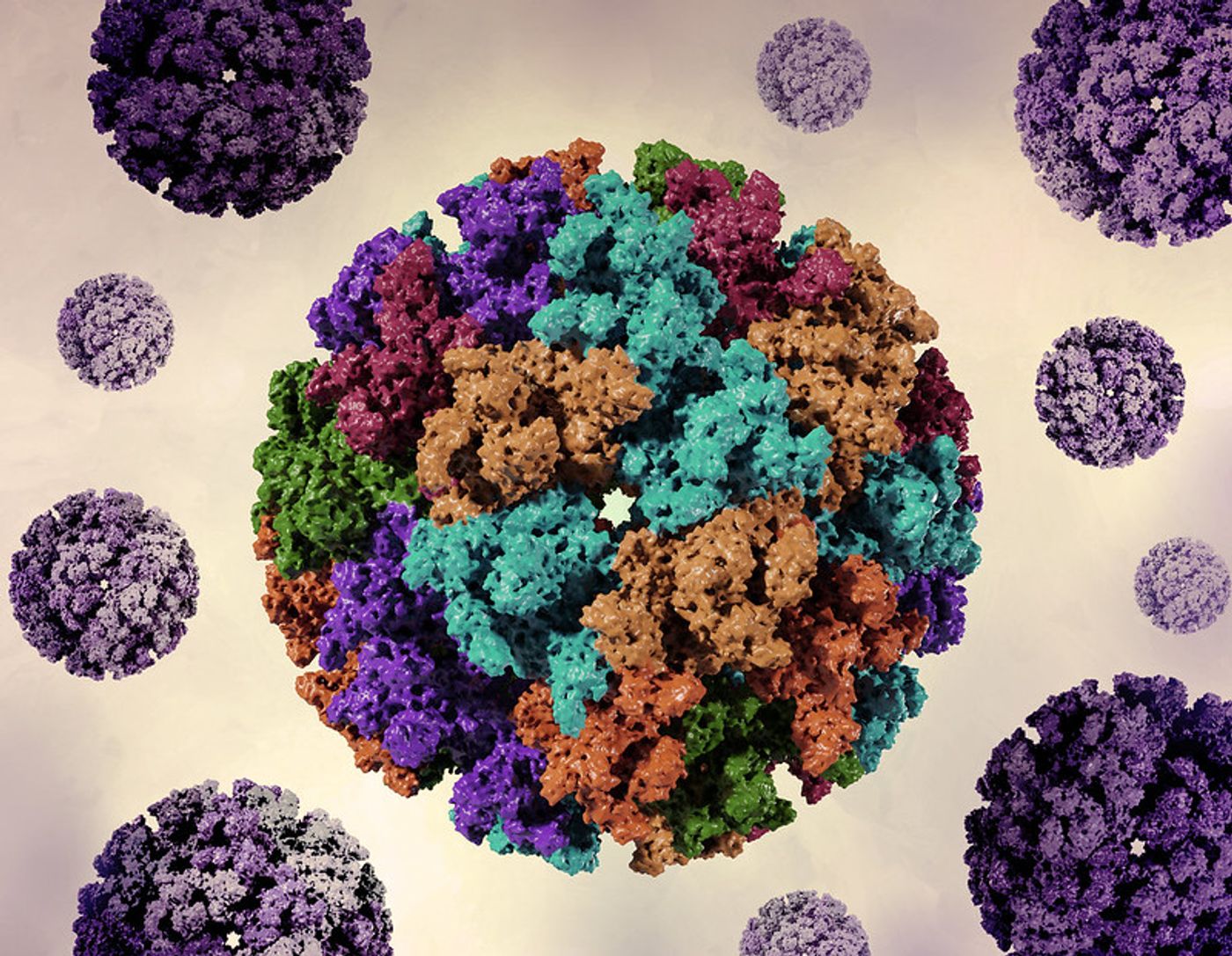 Creative layout featuring 3D renderings of chikungunya virus-like particles (VLPs). VLPs-which are useful for vaccine research-mimic the size and shape of a virus but lack genetic the viral genome and are non-infectious. Chikungunya is a neglected tropical disease (NTD) transmitted to humans through the bites of infected Aedes mosquitoes. Credit: NIAID 