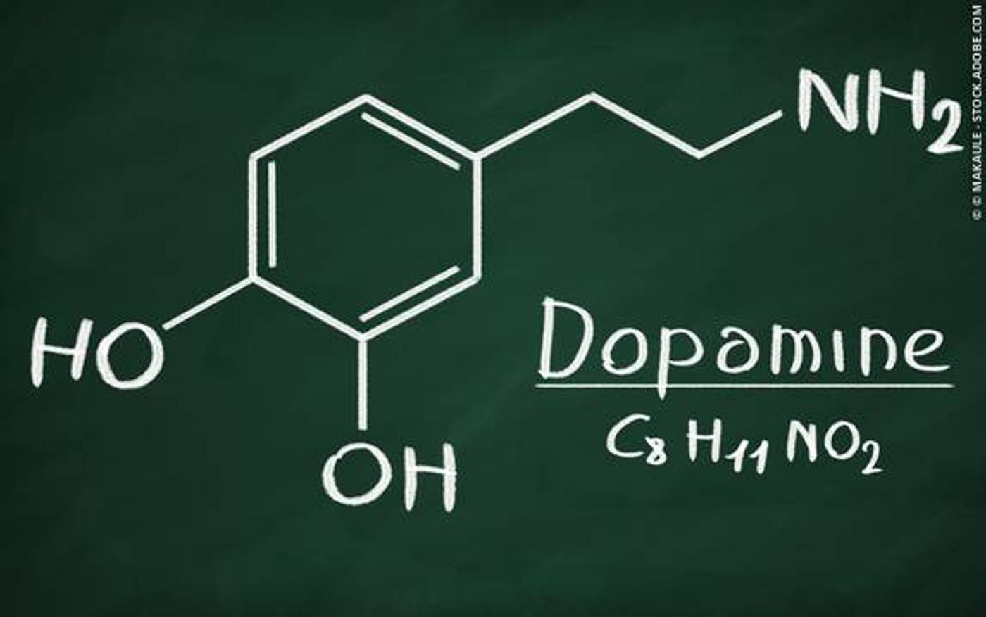Brain's Dopamine: The Good, The Bad and The Ugly