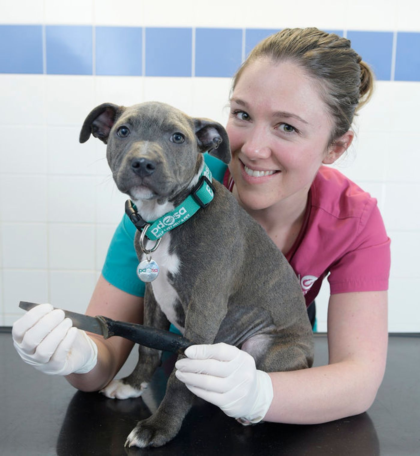 The vet poses with the dog post-surgury, showing the knife that was removed.