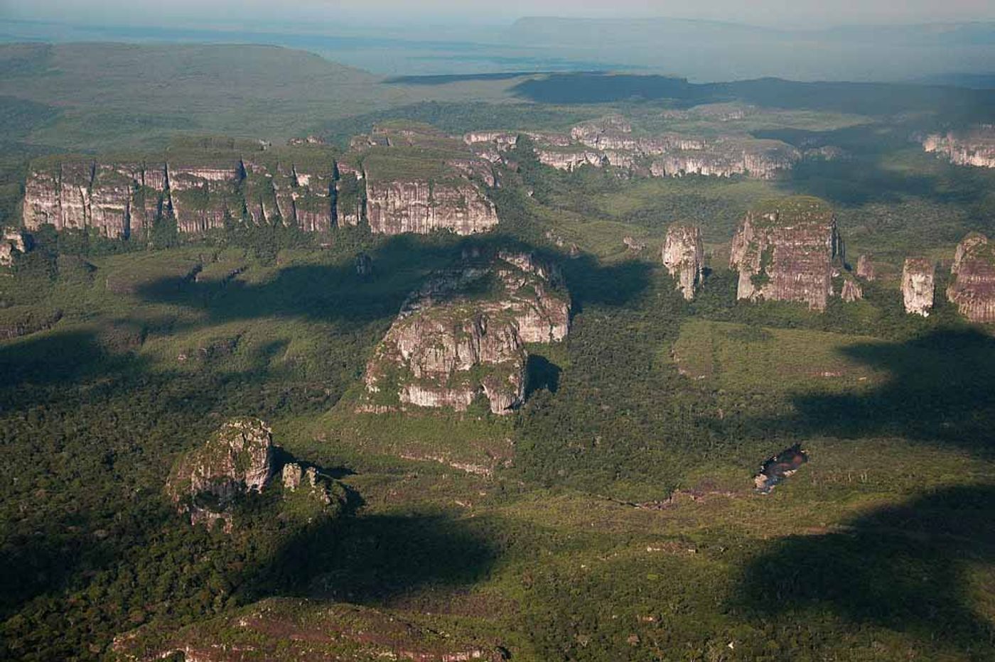 Chiribiquete is known for its unique geology and the vast biodiversity that lives there. Source: El Espectador