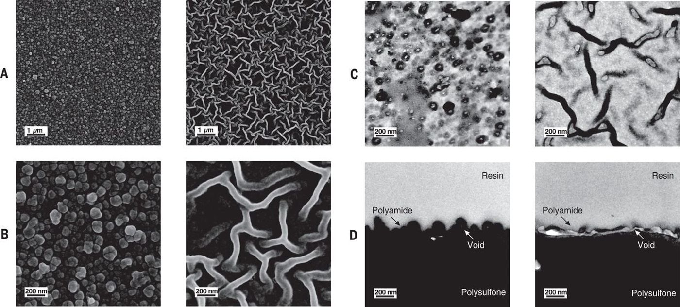 Turing patterns in the filter membrane. (Science)