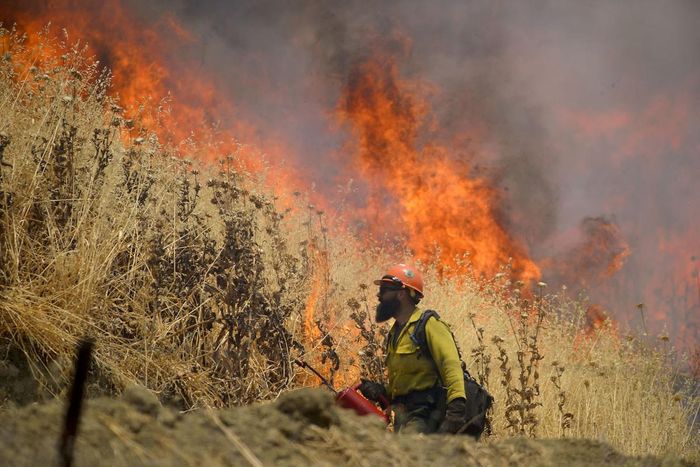 County Fire rages on. Photo: Napa Valley Register
