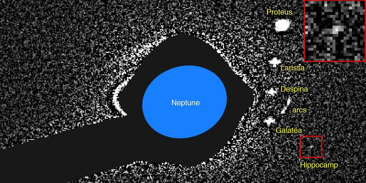 This is what Hippocamp looked like when Mark Showalter observed it with the Hubble Space Telescope in 2013.