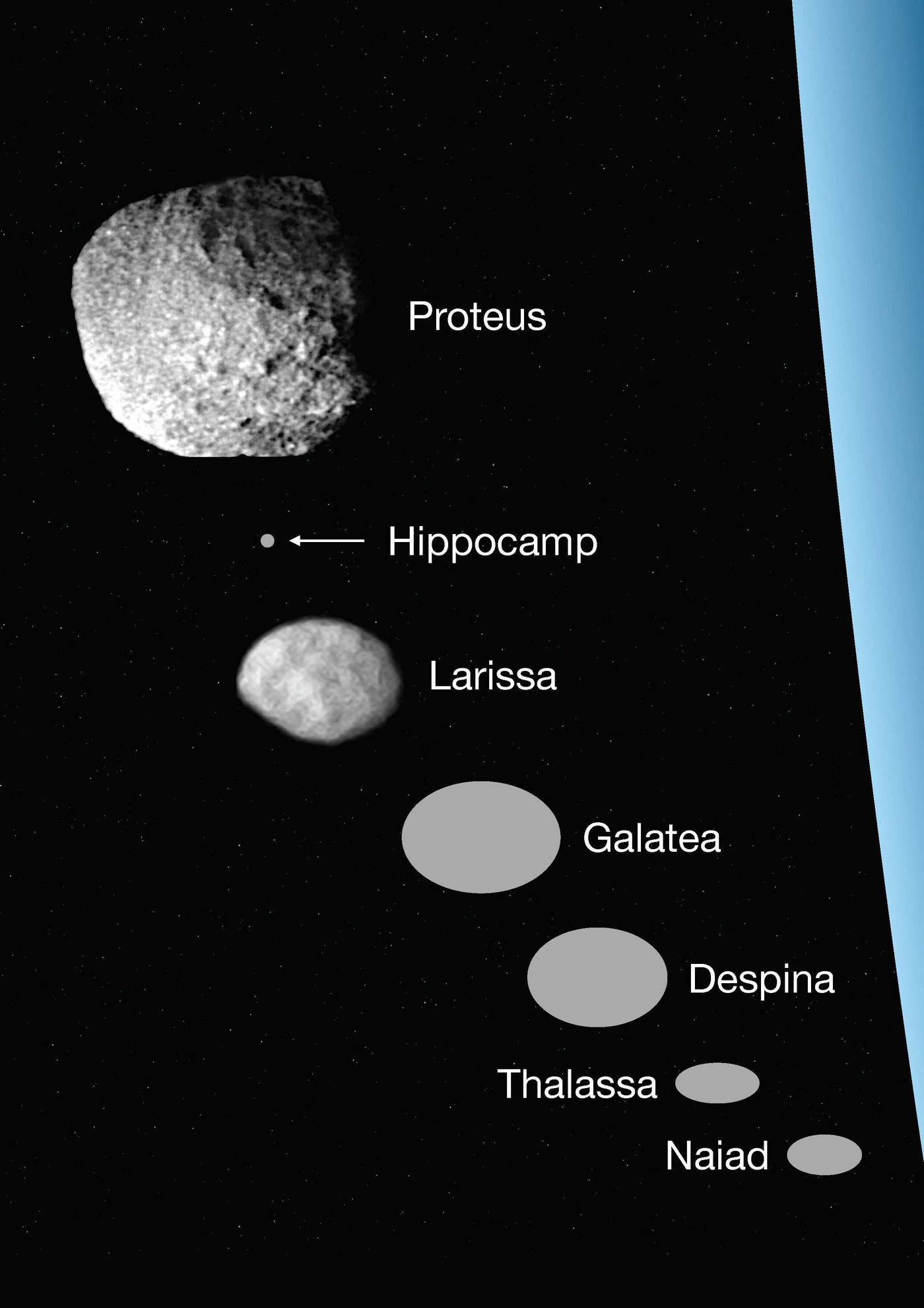 An artist's impression of all the known inner moons of Neptune to date.