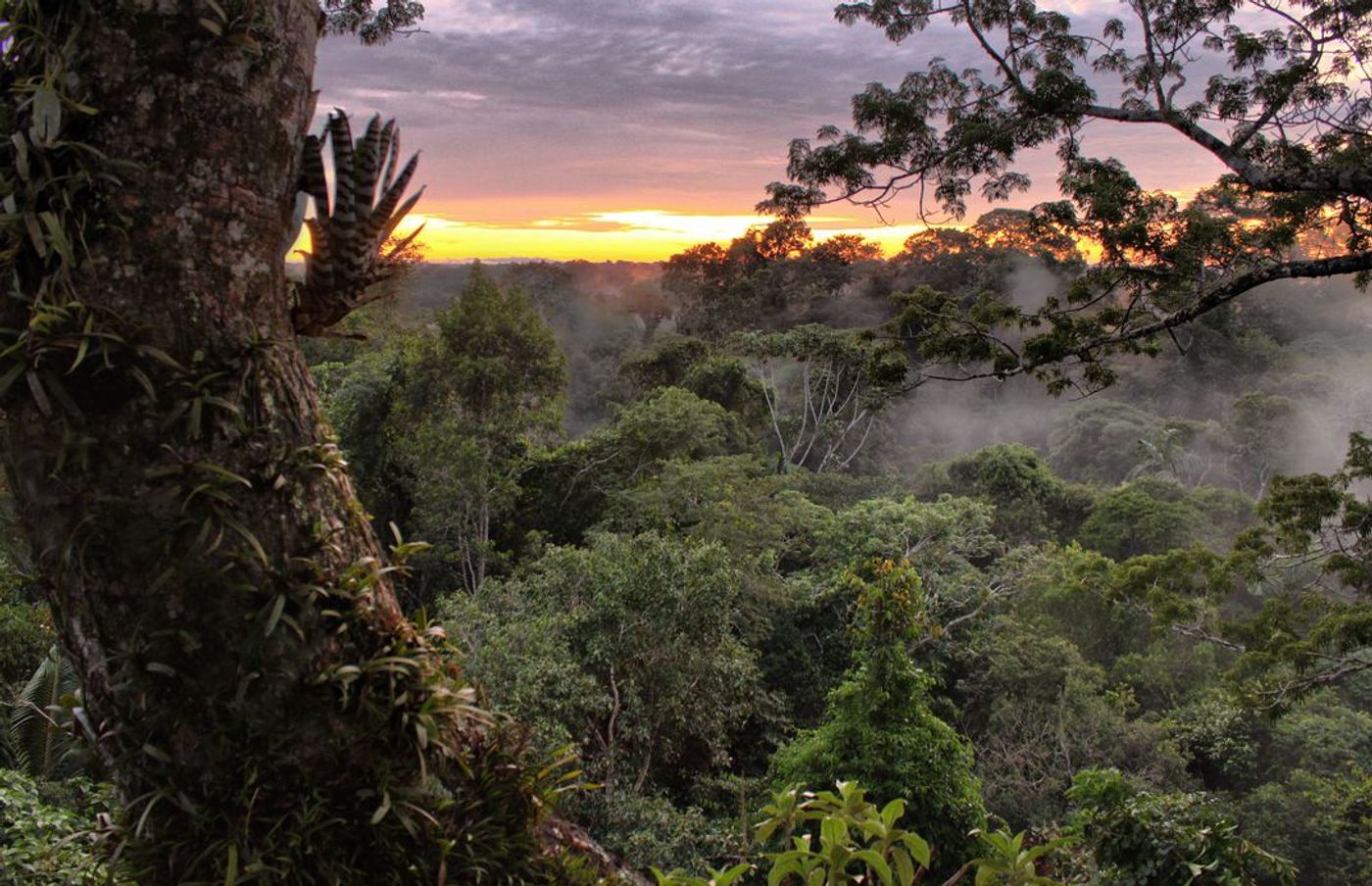 Yasuní National Park. Photo: Smithsonian Magazine via Flickr user sara y tzunki