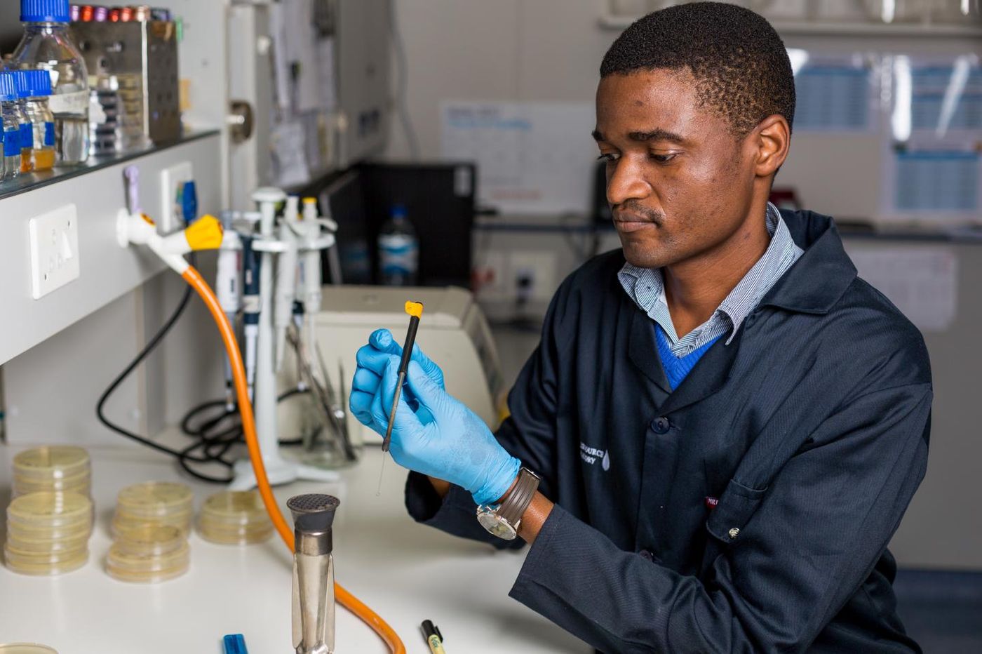 This is South African microbiologist, Dr Thando Ndlovu in his laboratory in the Department Microbiology, Stellenbosch University. / Credit: Stefan Els