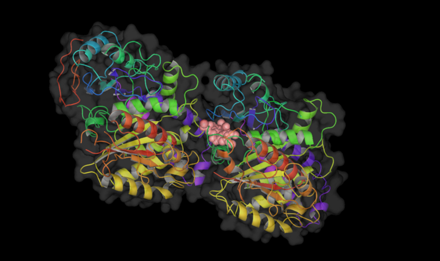 The tubulin protein that makes up microtubules, a key component of each cell's cytoskeleton. Credit: Group6-3