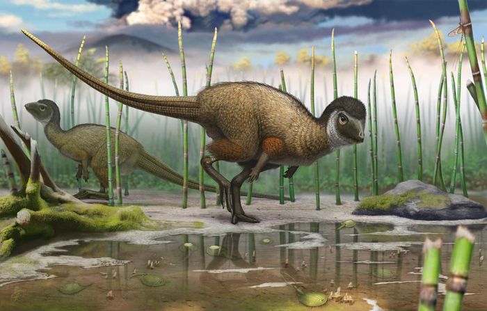 Dinosaurs may have been more bird-like than originally thought; not only in looks, but perhaps even with sounds.