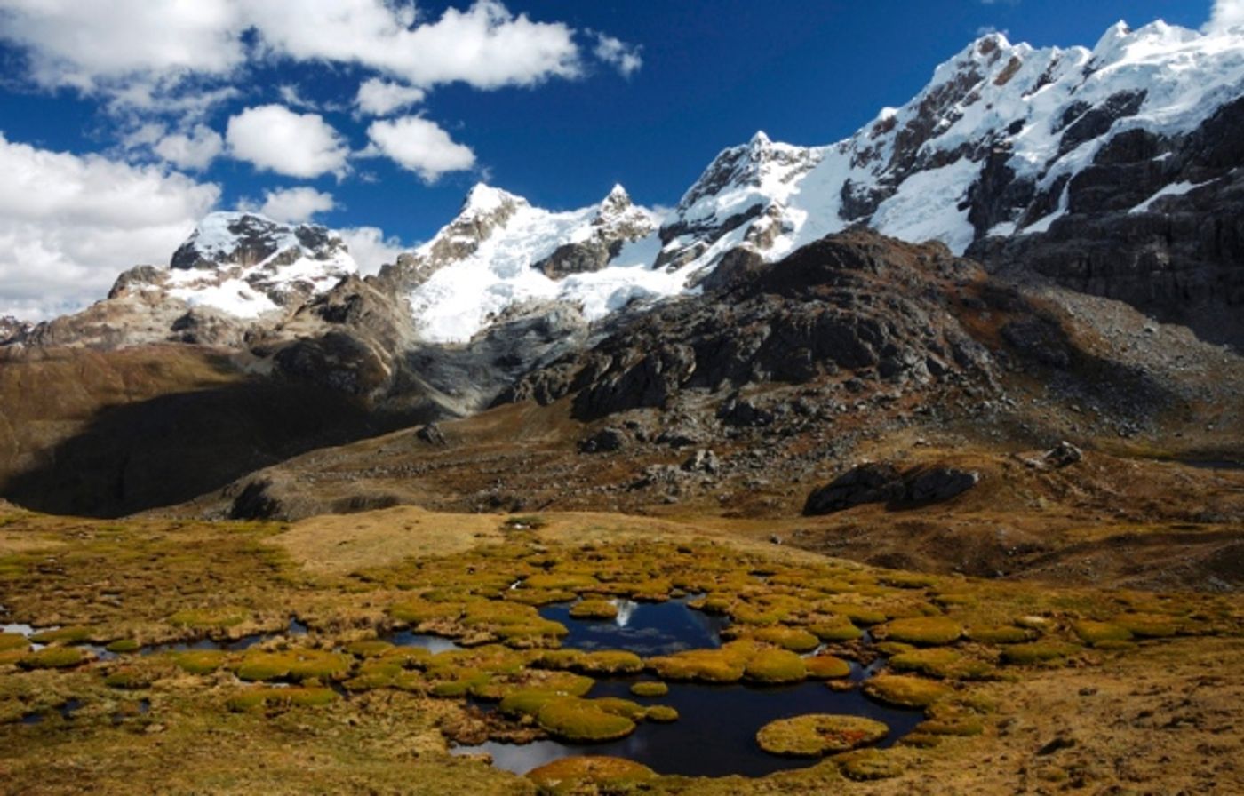 Humans lived permanently in the Andes as early as 7,000 years ago ...